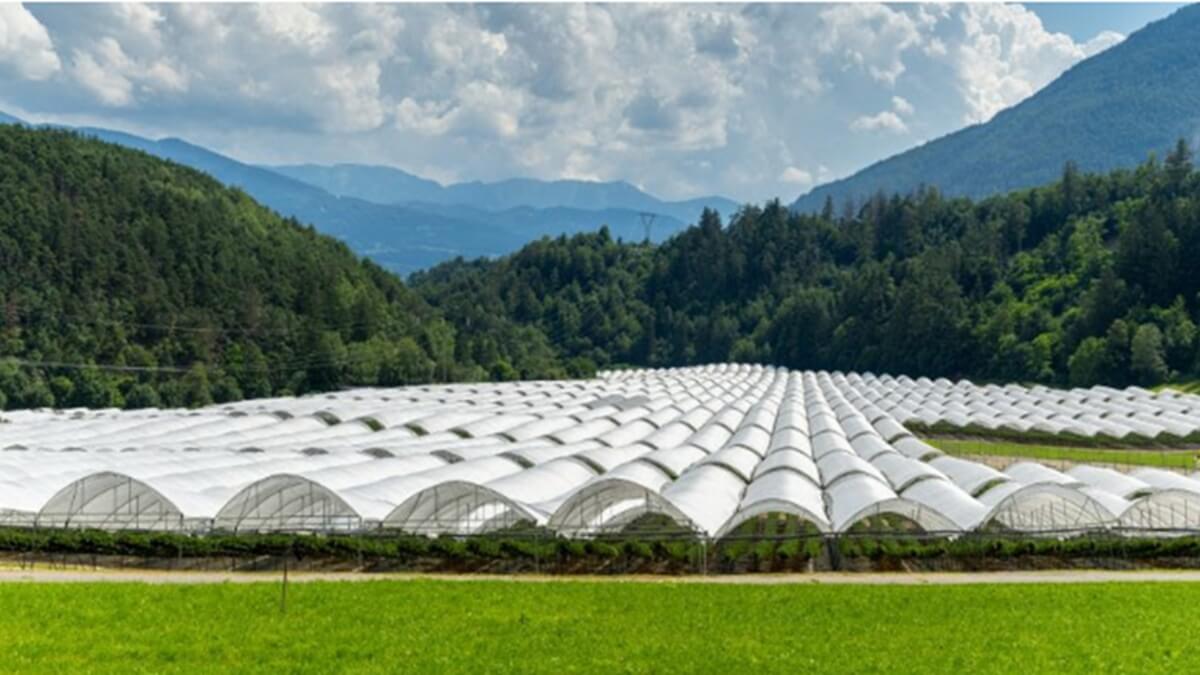 Arrigoni group renueva su identidad visual (1).jpg